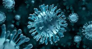 202003271025492549 310x165 - الصحة السعودية: تسجيل 17 إصابة جديدة بفيروس كورونا وإجمالى الإصابات 2402