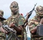 "بوكو حرام" تشن هجوما في الكاميرون يسفر عن مقتل 7 أشخاص