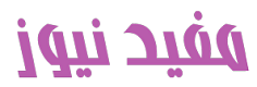 مفيد نيوز
