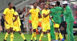201906180647264726 310x165 - كأس أمم إفريقيا.. 23 لاعبًا فى القائمة النهائية لمنتخب زيمبابوي