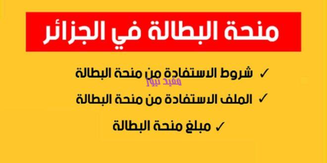 التسجيل في منحة البطالة 2022 minha anem dz